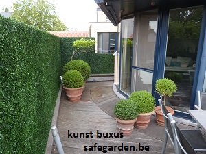kunst buxus - safegarden (10)