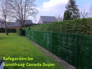 kunsthaag Canada Super - Safegarden.be - Alle privacy-toepassingen voor de tuin